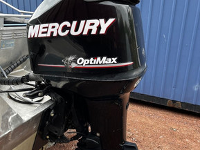 Mercury Optimax
