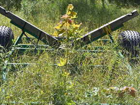 Keihässalmi KS 1030