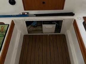 SeaStar Family 23 TD