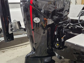 Mercury F115 Pro XS CT