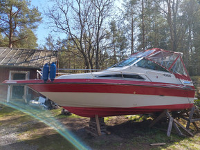 Sea Ray 21 Mid Cabin