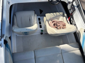 Yamarin 435 Big Ride