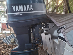 Yamaha 115 v4
