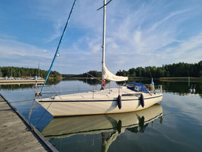 Helmsman 31