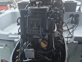 Yamarin 435 Big Fish