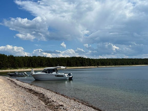 Jeanneau Merry Fisher 795