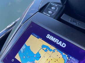 Yamaha FX Cruiser SVHO