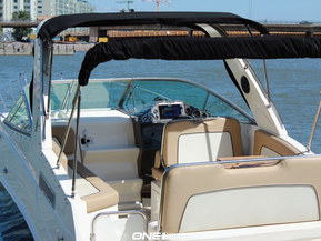 Bayliner Ciera 8