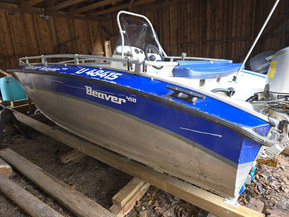 Silver Beaver 450