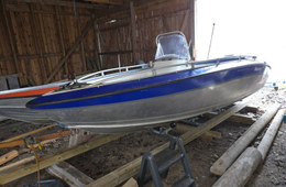 Silver Beaver 450