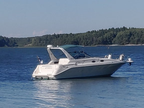Sea Ray 290 Sundancer