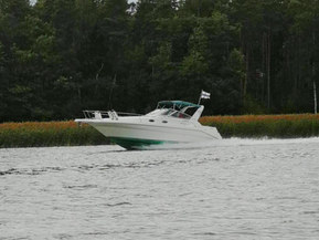 Sea Ray 290 Sundancer