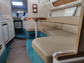 Sea Ray 290 Sundancer