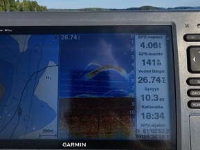 Quicksilver 420 Flamingo