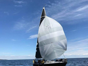 Finn Flyer 31