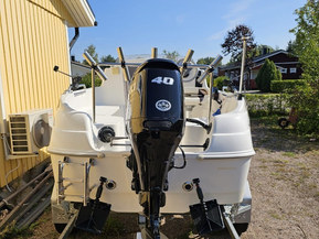 Quicksilver 420 Flamingo