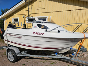 Quicksilver 420 Flamingo