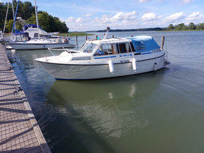 Bella 8001