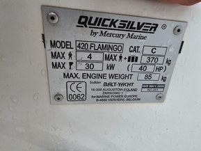 Quicksilver 420 Flamingo