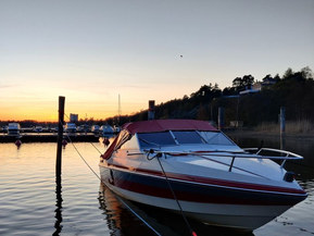 Wellcraft 192 Classic