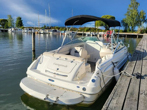 Chaparral 215 SSi