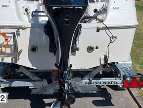 Quicksilver 420 Flamingo