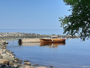 Summalainen Muu malli