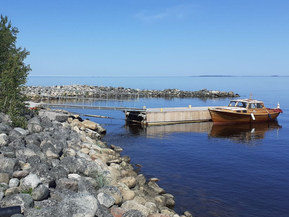 Summalainen Muu malli