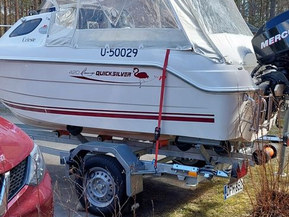 Quicksilver 420 Flamingo