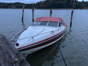 Wellcraft 192 Classic