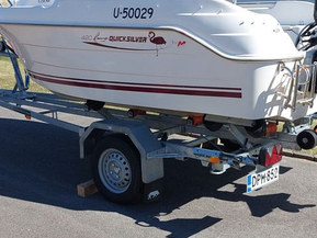 Quicksilver 420 Flamingo