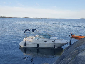 Sea Ray 240 Sundancer