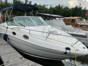 Sea Ray 240 Sundancer