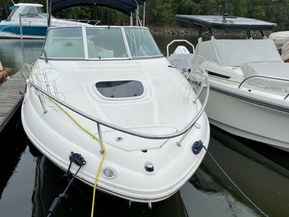 Sea Ray 240 Sundancer