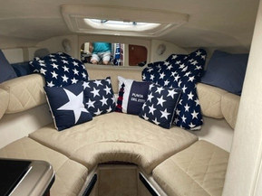 Sea Ray 240 Sundancer