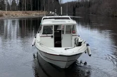 Shippy