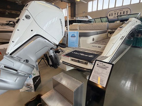 Sea Ray 250 SDX Outboard