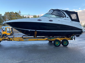 Sea Ray 315 Sundancer