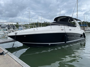 Sea Ray 315 Sundancer