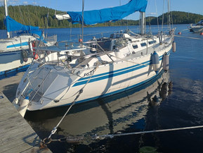 Finngulf 33