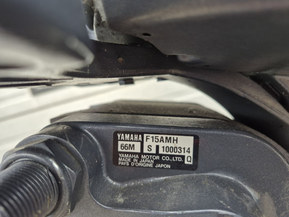 Yamaha F15AMH