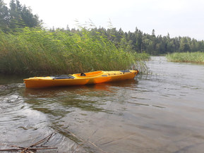 Seabird Expedition HV