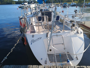 Finngulf 33