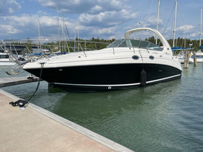 Sea Ray 315 Sundancer