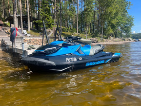 Sea-Doo RXT 230 RS