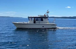 Targa 31