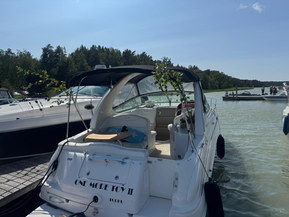 Sea Ray 315 Sundancer