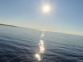 Jeanneau Merry Fisher 925