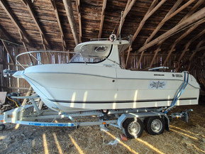 Quicksilver Muu malli