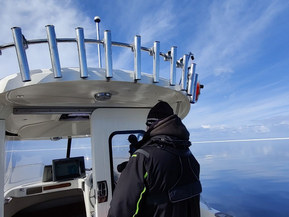 Quicksilver Muu malli